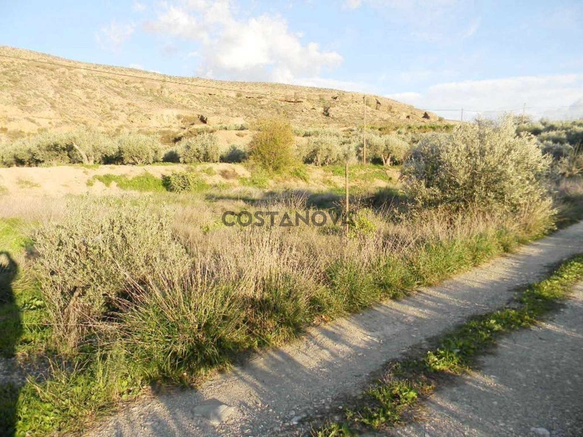Land in Albox