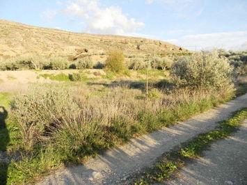 Land in Albox