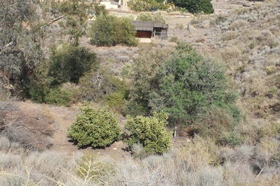 Villa in Los Gallardos