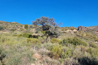 Land in Bédar