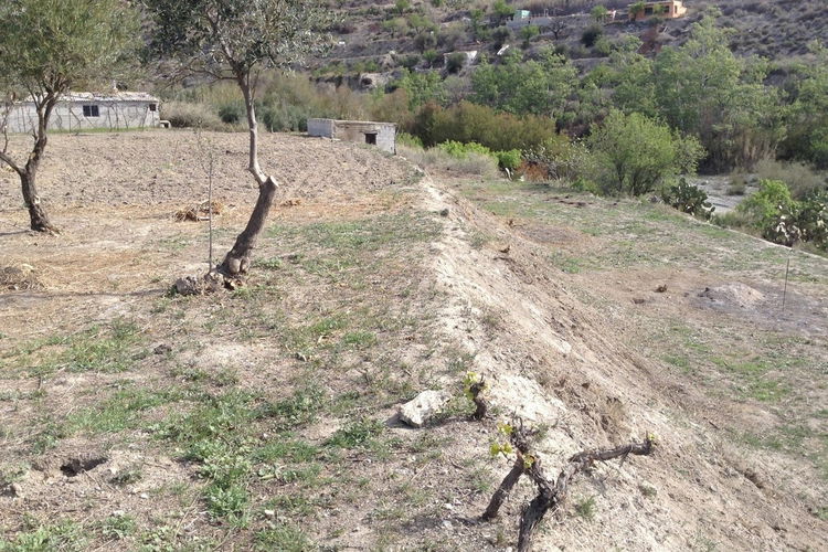 Land in Lúcar