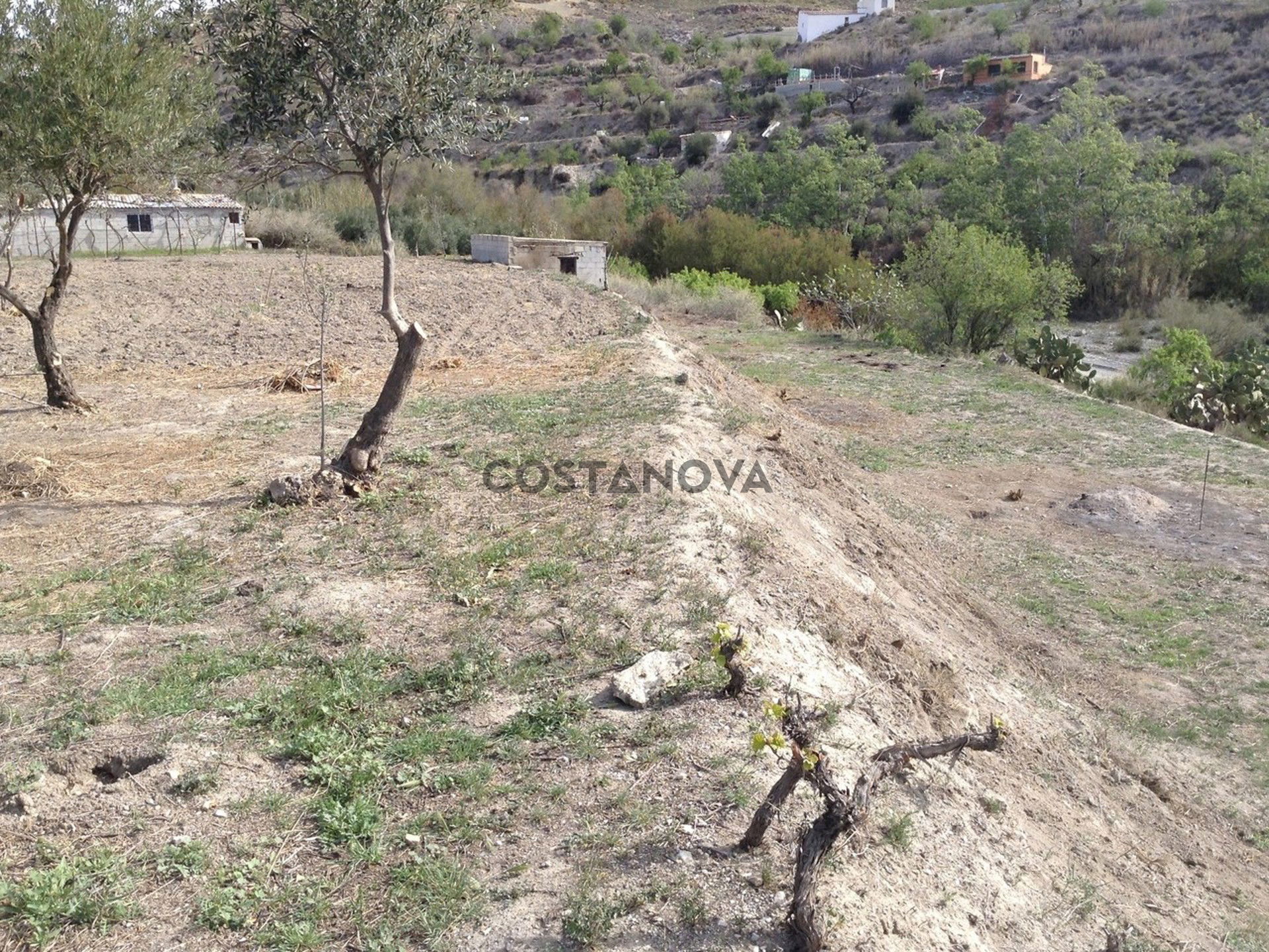 Land in Lúcar