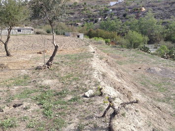 Land in Lúcar