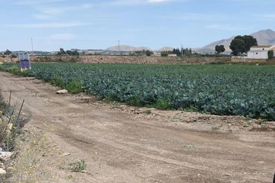 Land in Huércal-Overa