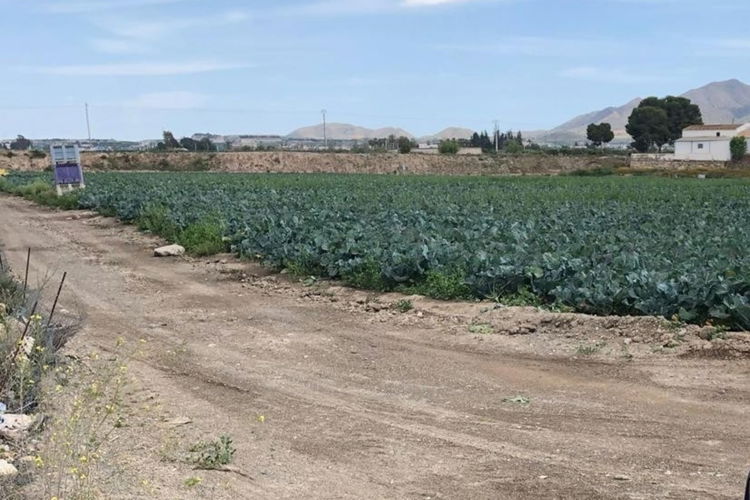 Land in Huércal-Overa