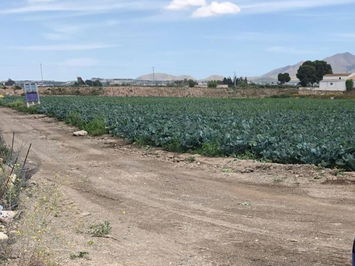 Land in Huércal-Overa