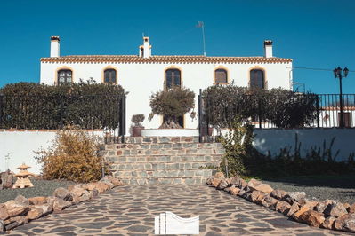 Commercial property in Lorca