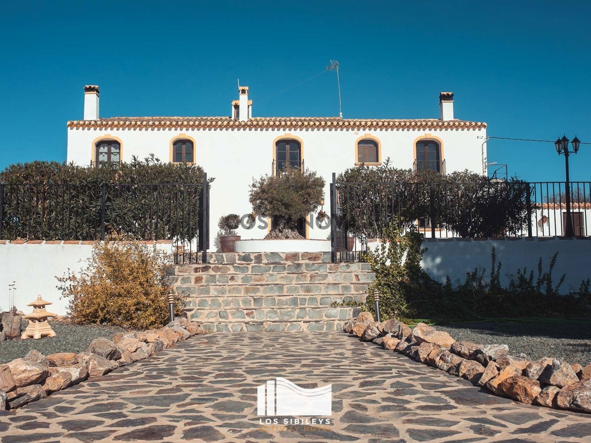 Commercial property in Lorca