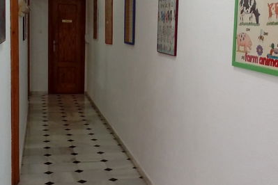 Commercial property in Macael