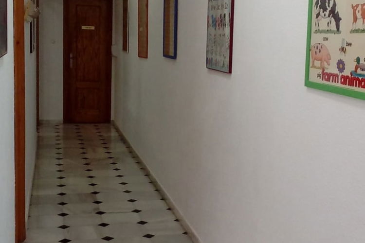 Commercial property in Macael