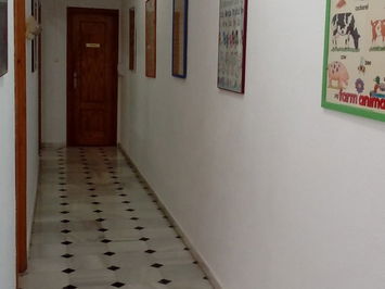 Commercial property in Macael