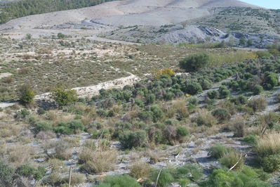 Land in Lorca