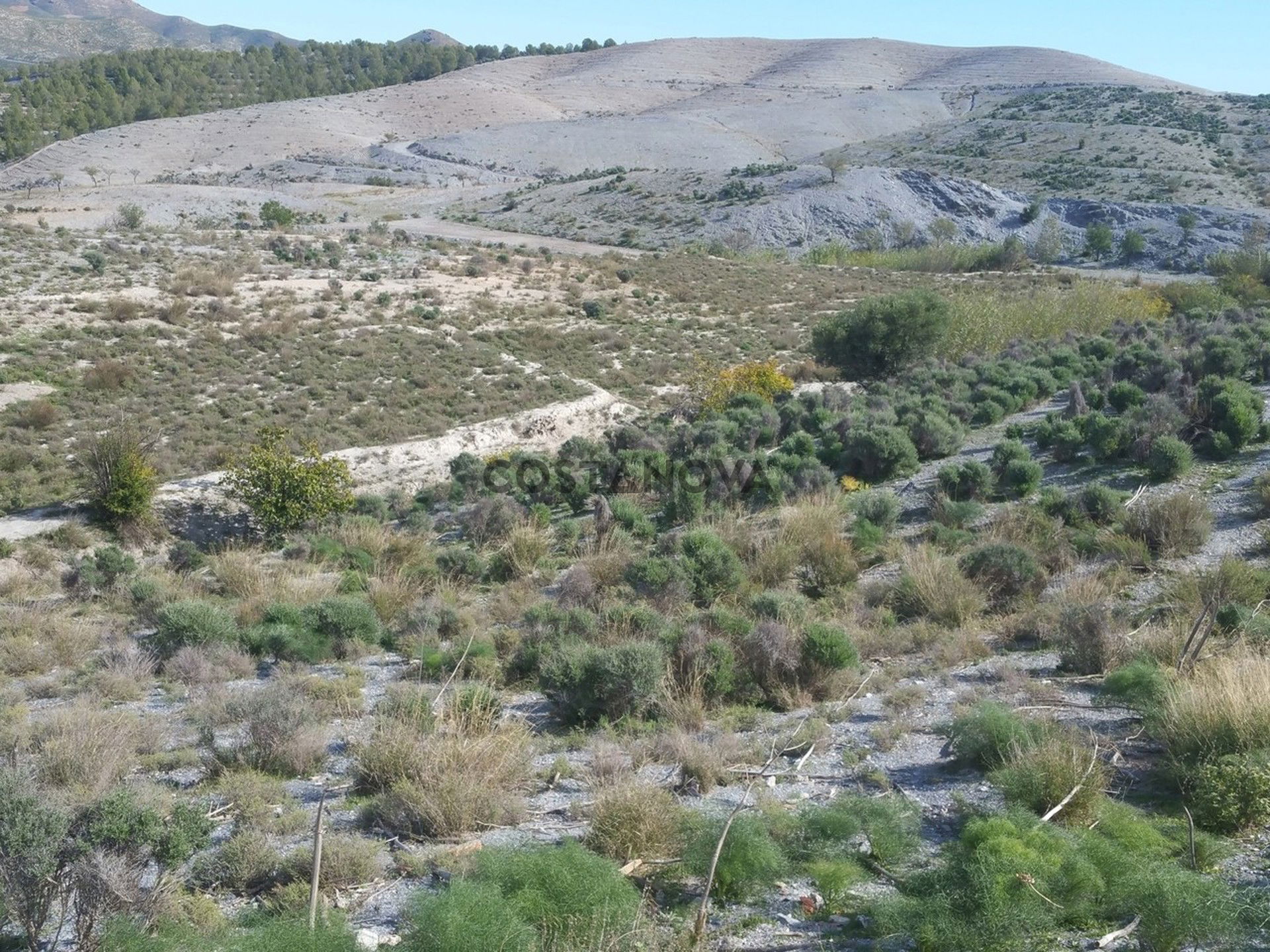 Land in Lorca