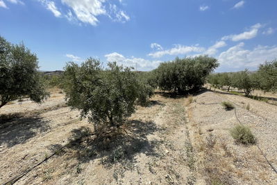 Land in Huércal-Overa