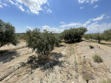 Land in Huércal-Overa