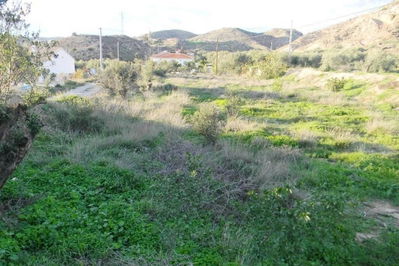 Land in Albox