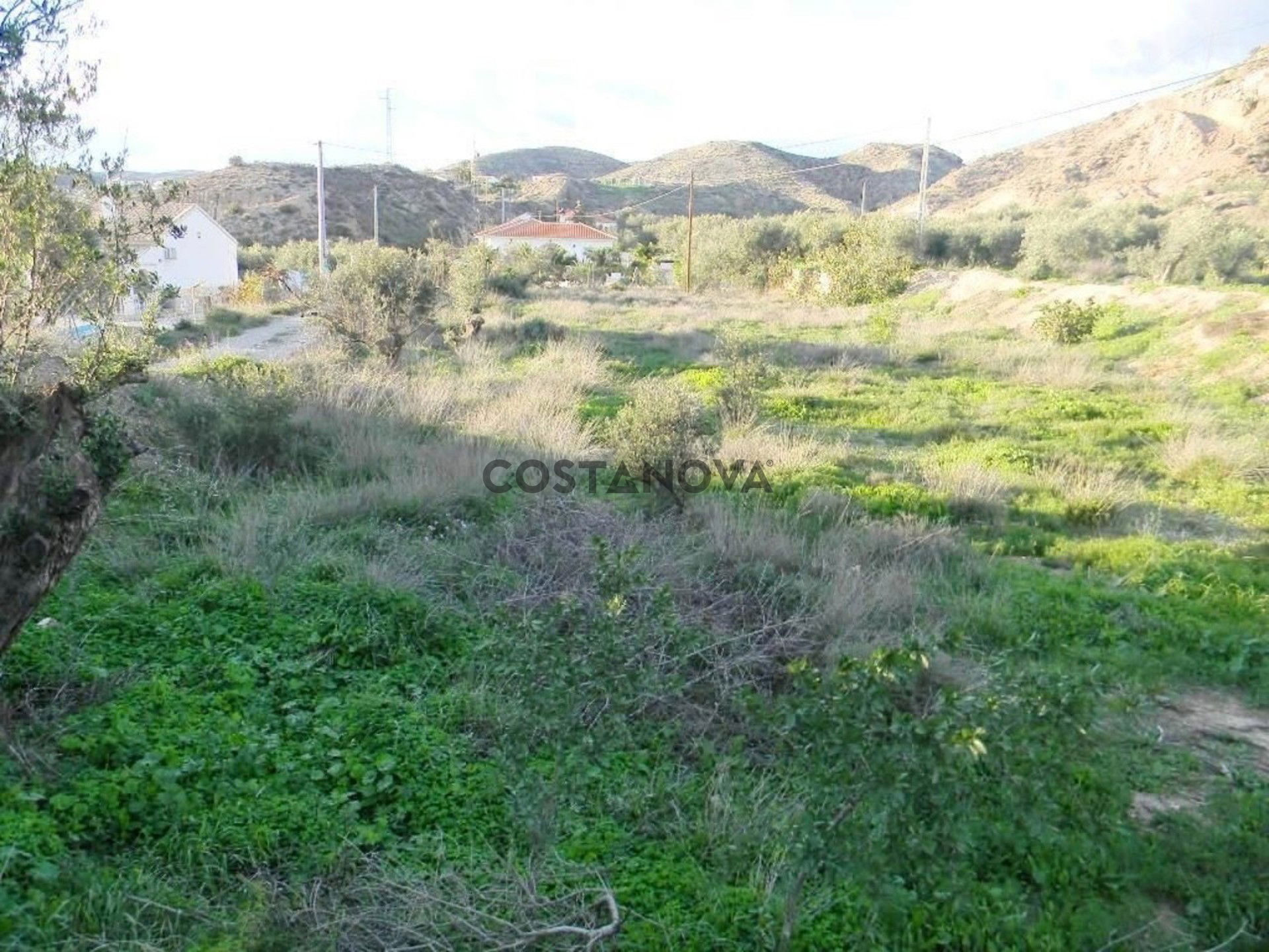 Land in Albox