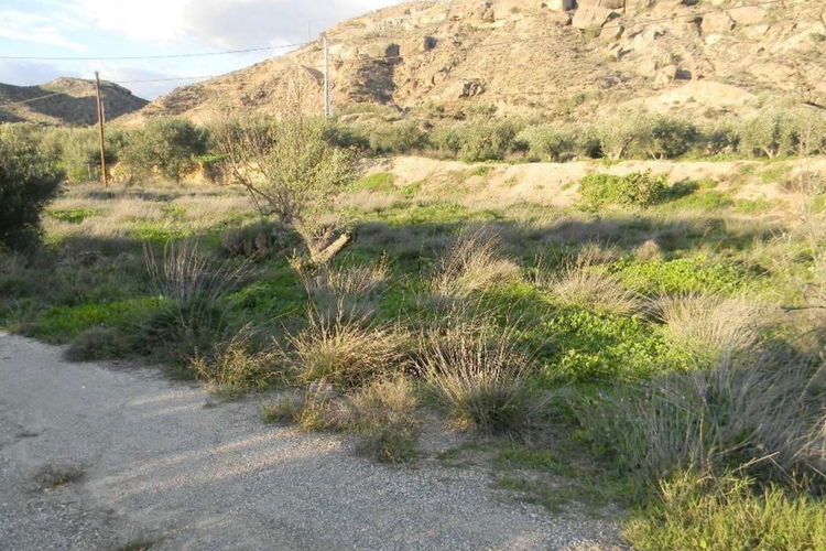 Land in Albox