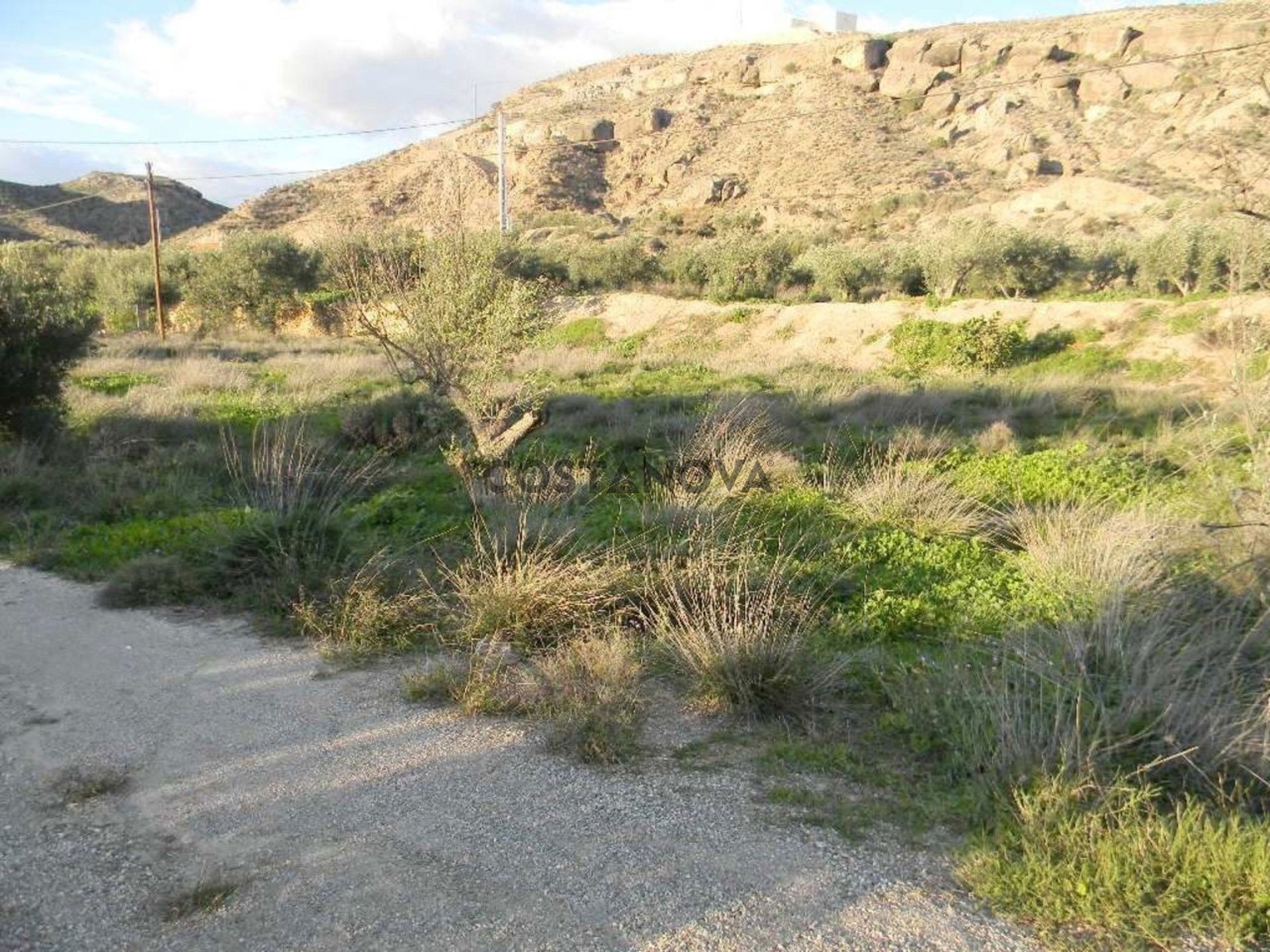 Land in Albox