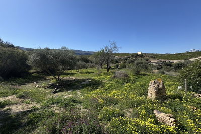 Country house in Los Gallardos