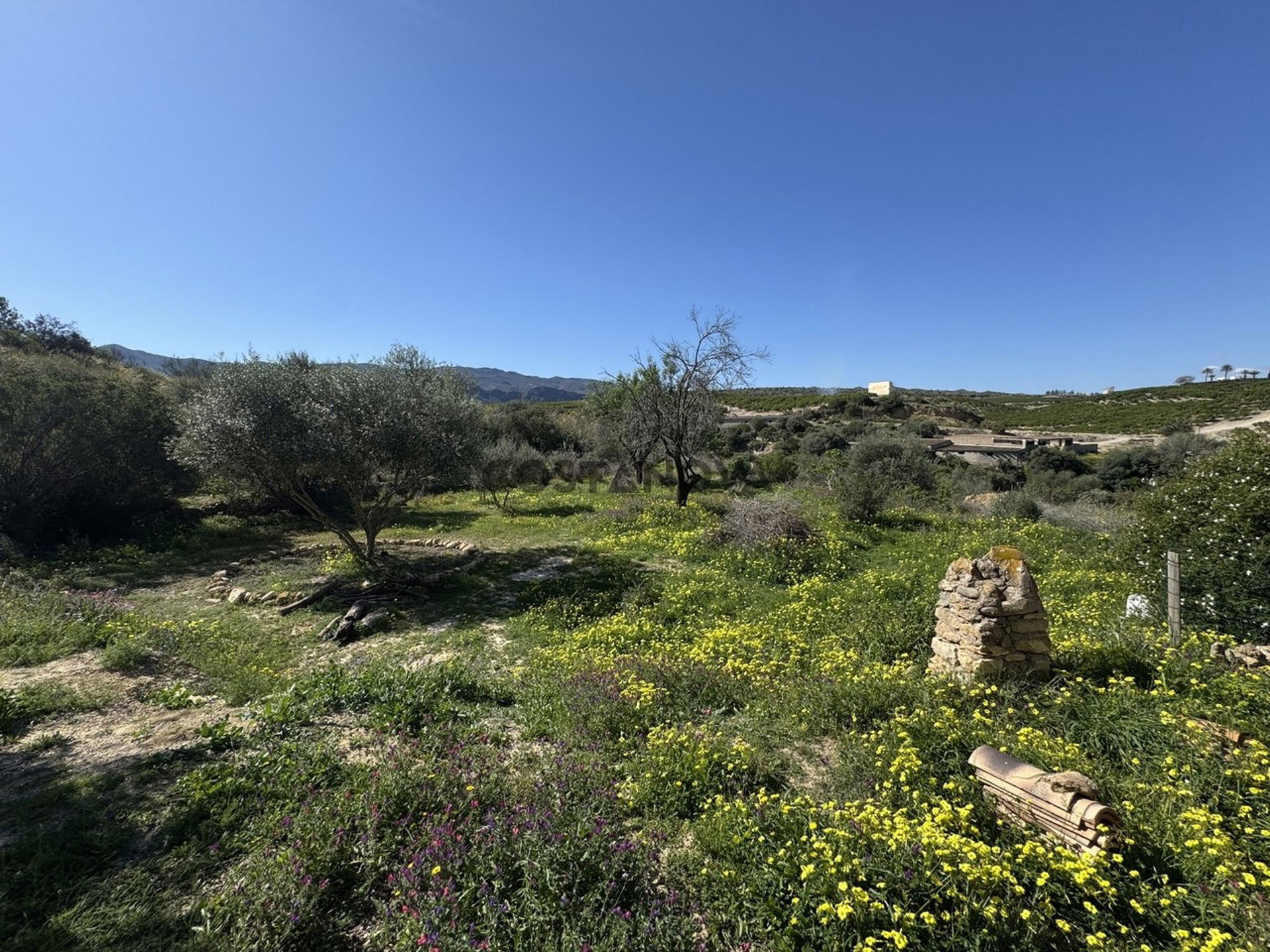 Country house in Los Gallardos