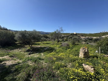 Country house in Los Gallardos