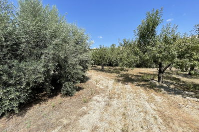 Land in Huércal-Overa