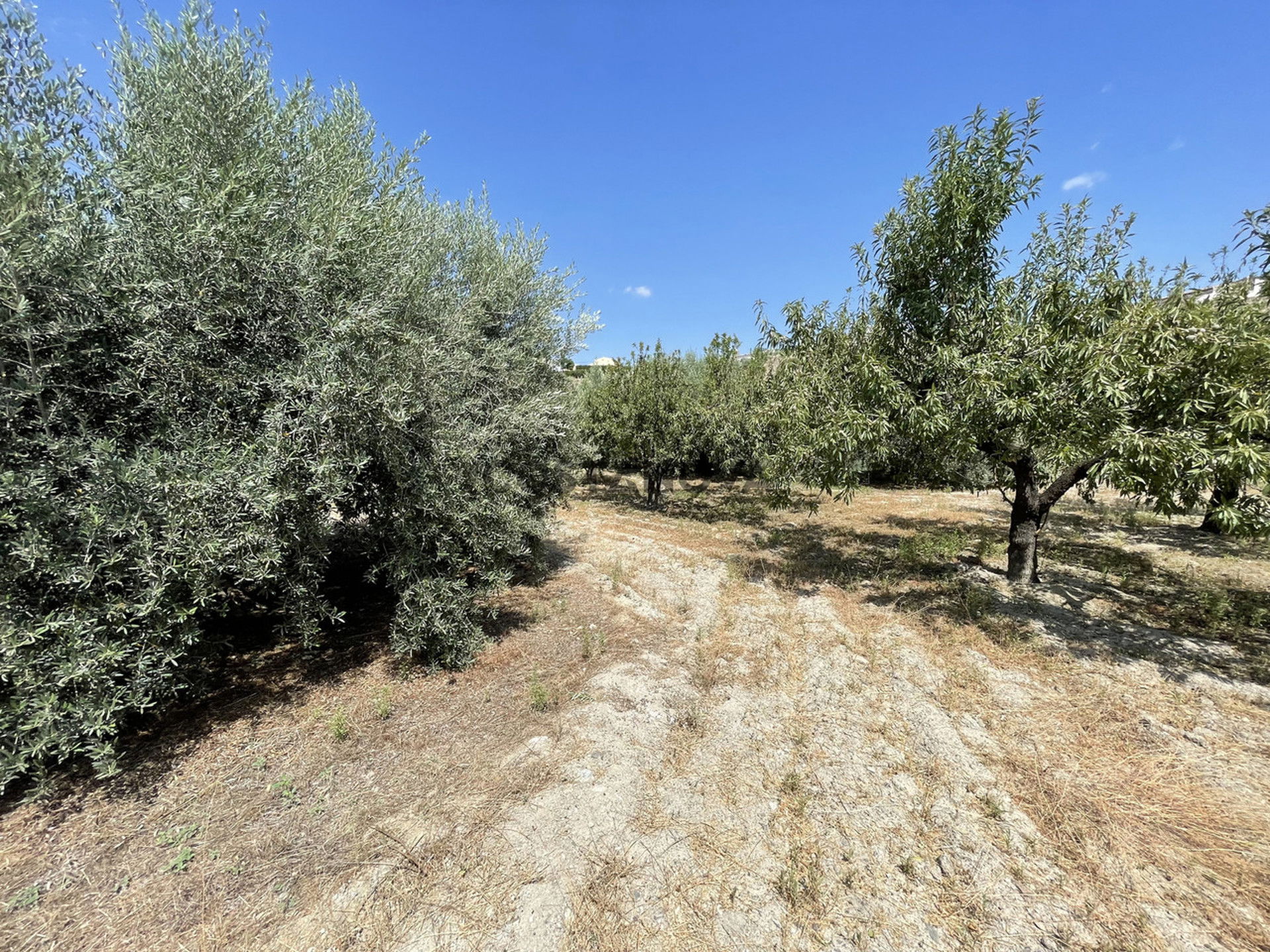 Land in Huércal-Overa