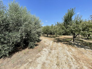 Land in Huércal-Overa