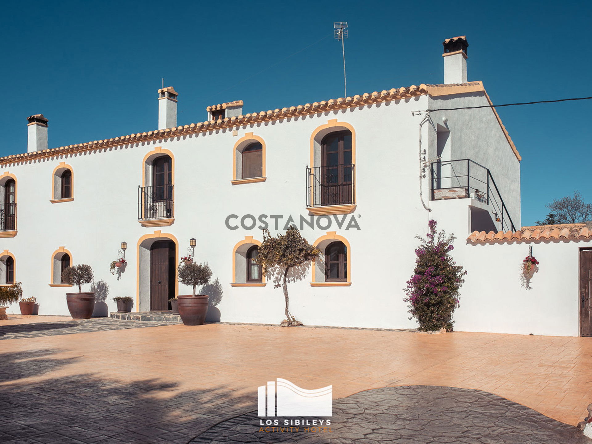 Commercial property in Lorca