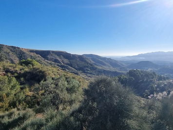 Land in Bédar