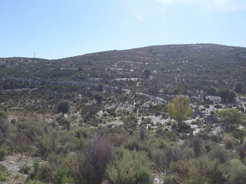 Land in Lorca