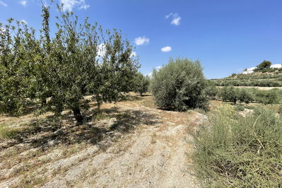 Land in Huércal-Overa