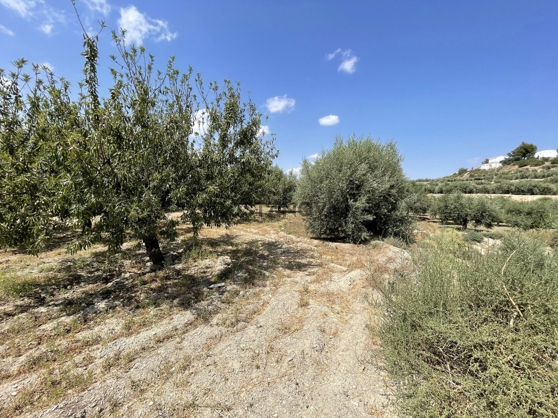 Land in Huércal-Overa