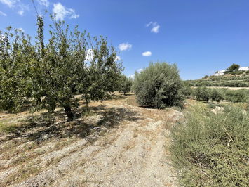 Land in Huércal-Overa