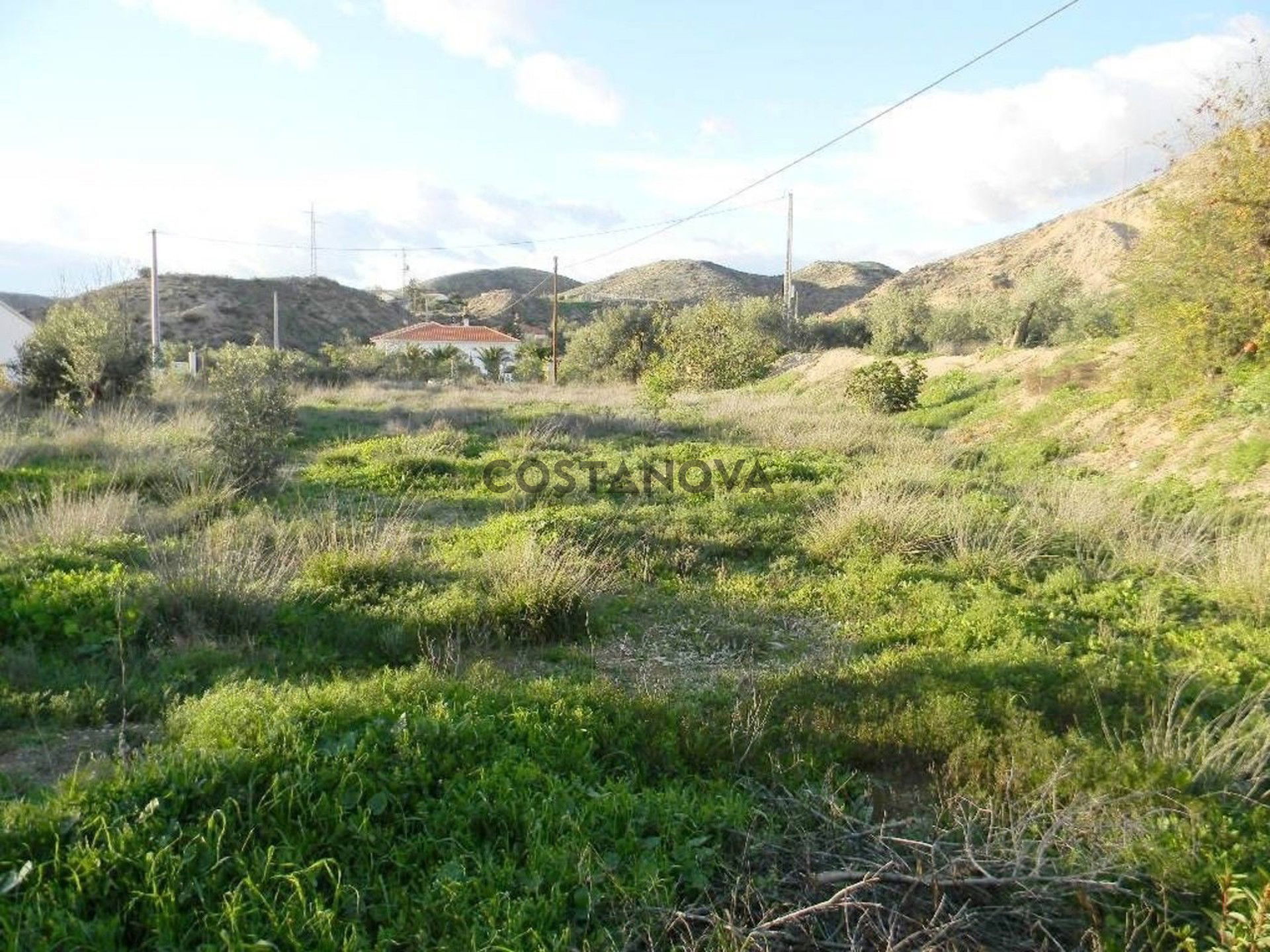 Land in Albox