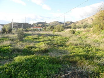 Land in Albox