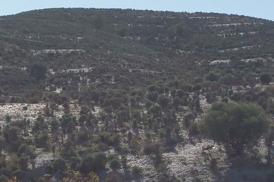 Land in Lorca