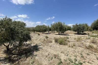 Land in Huércal-Overa
