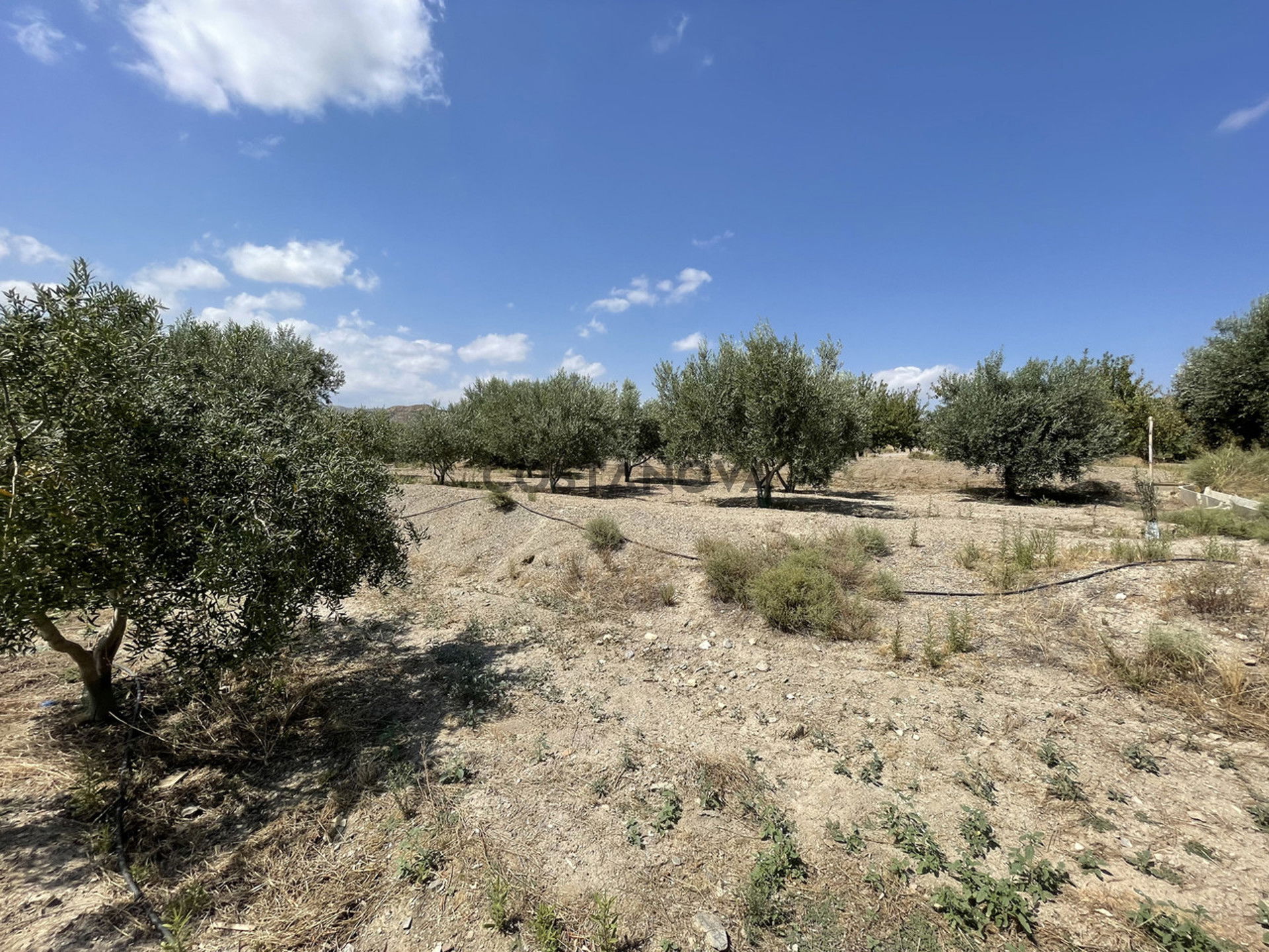 Land in Huércal-Overa