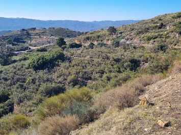 Land in Bédar