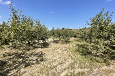 Land in Huércal-Overa