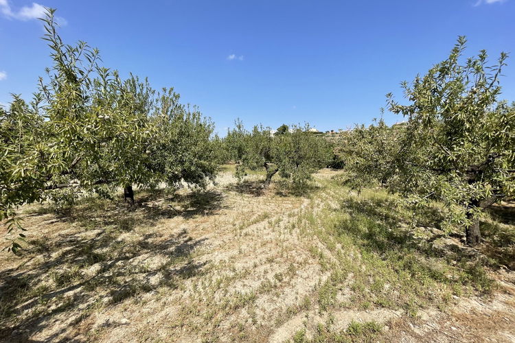 Land in Huércal-Overa