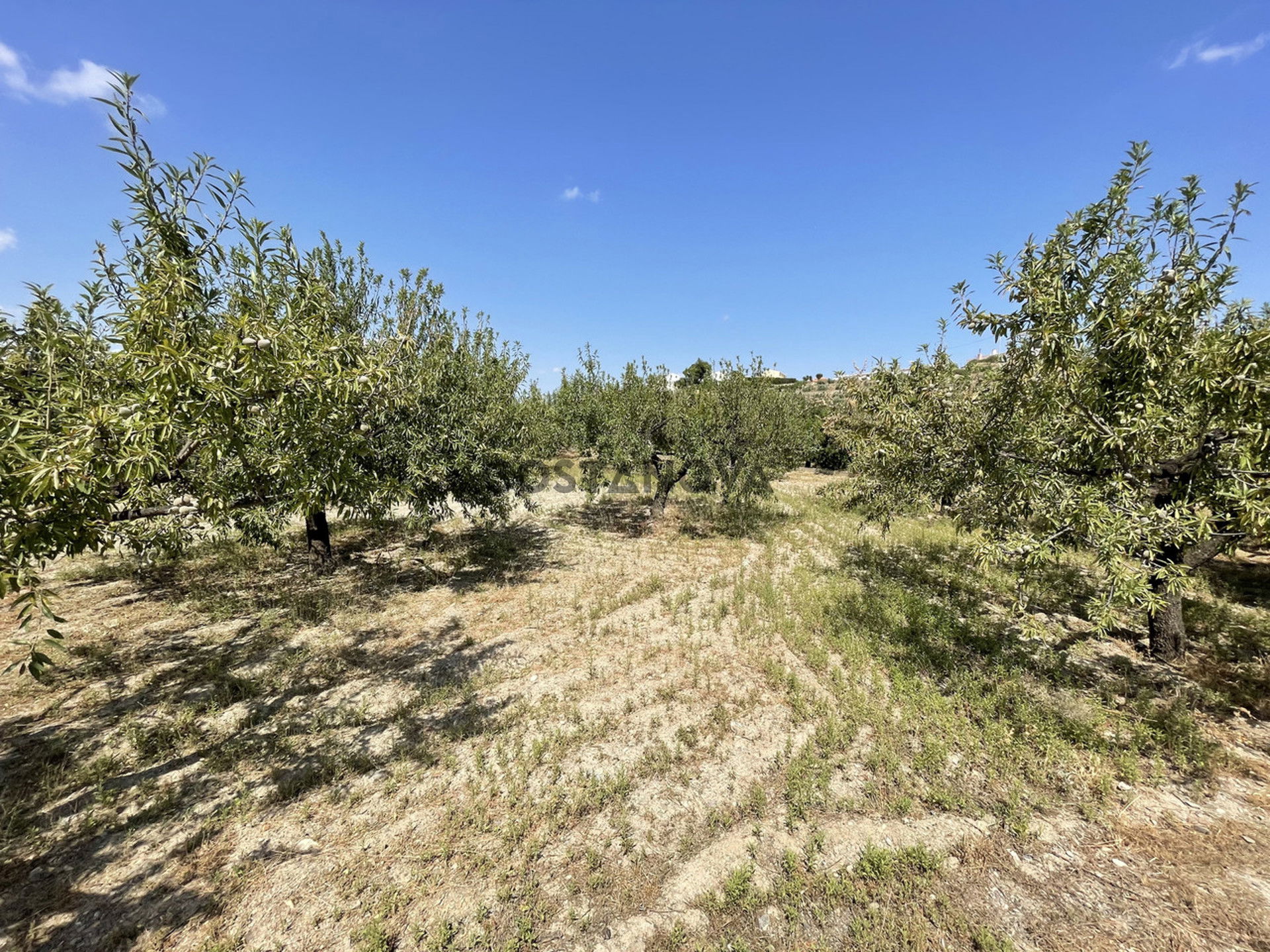 Land in Huércal-Overa