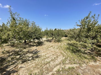Land in Huércal-Overa